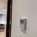 Magnifique Studio